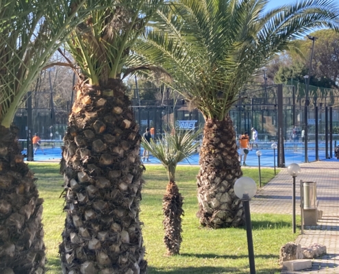 pickleball e padel a roma